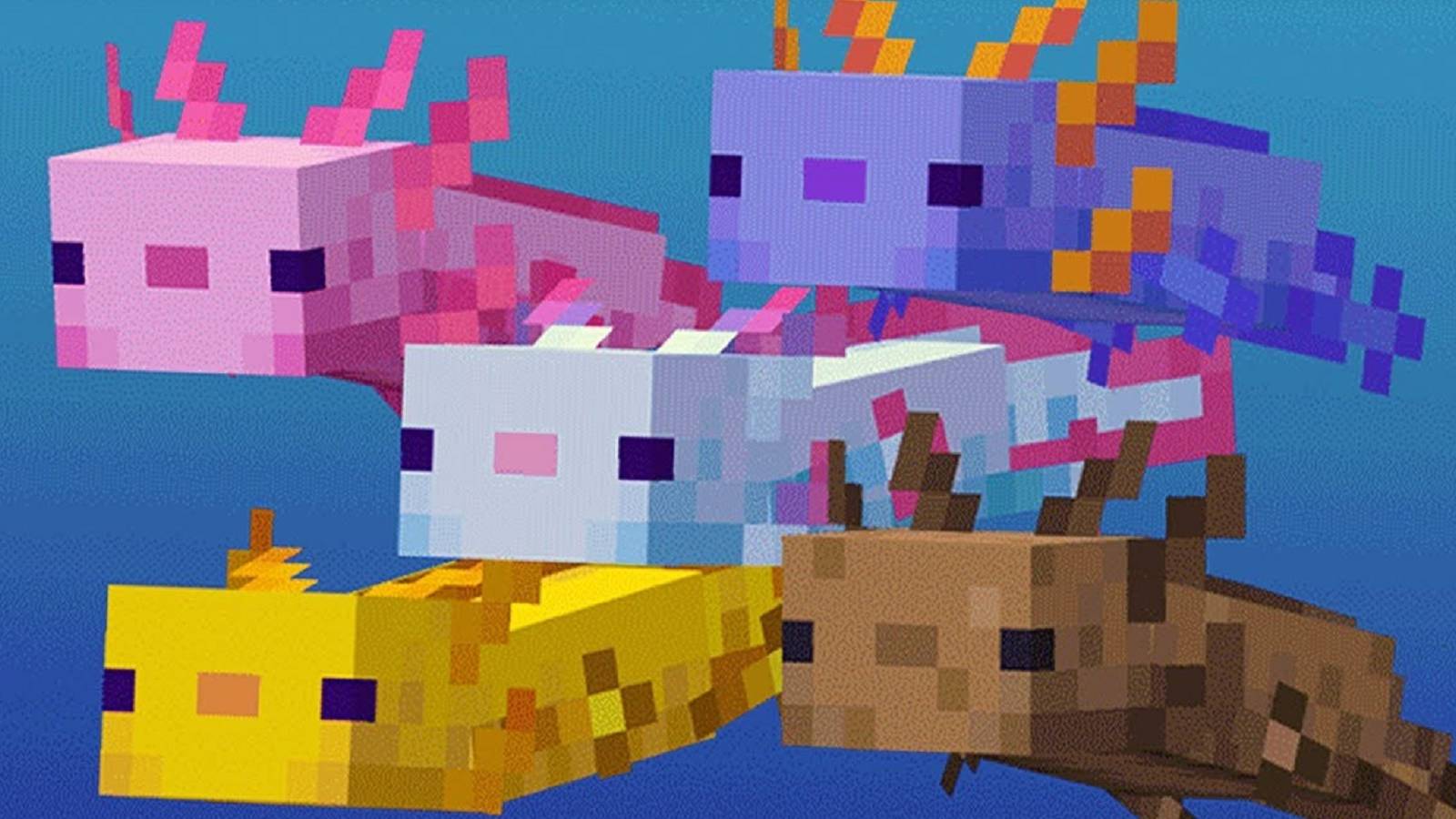 minecraft axolotl swarm feature