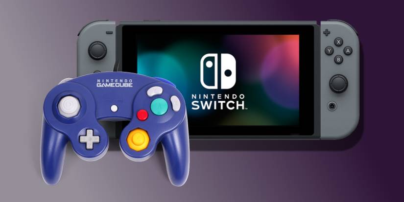 nintendo switch gamecube controllers