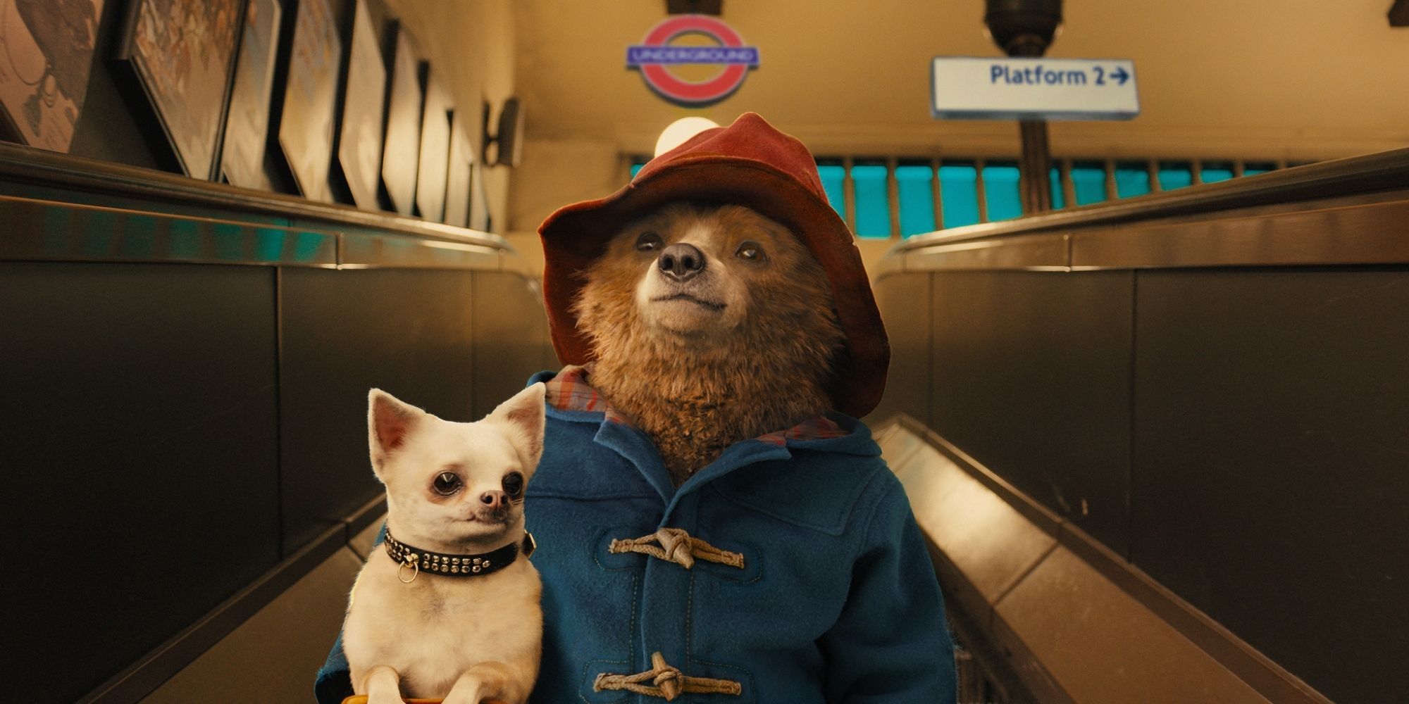 Official image from the Paddington (2014).
