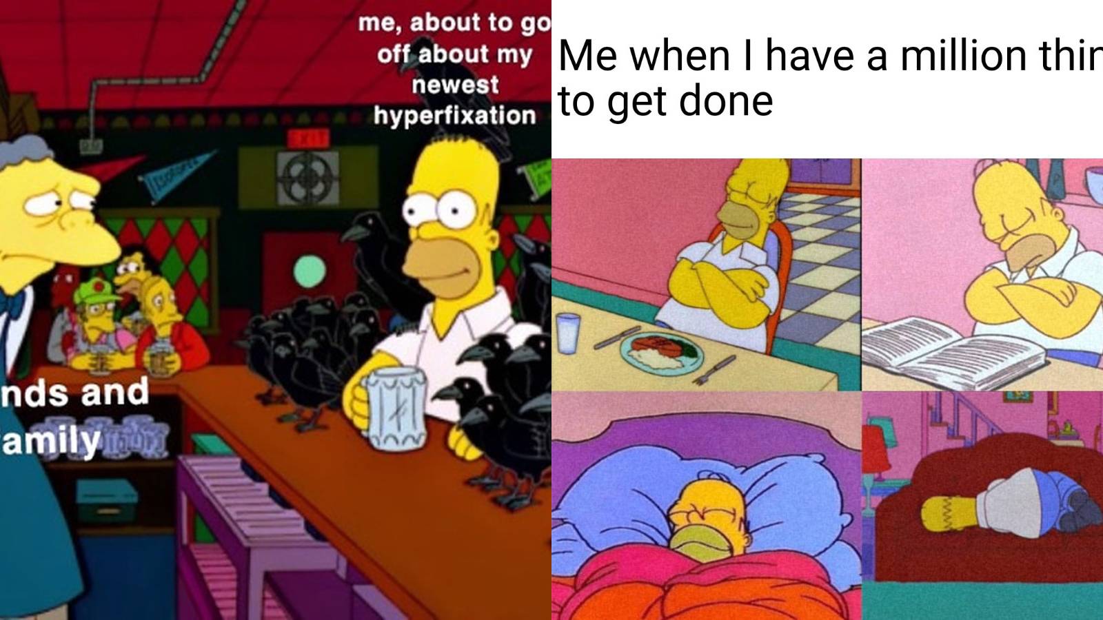 The Simpsons Homer meme feature