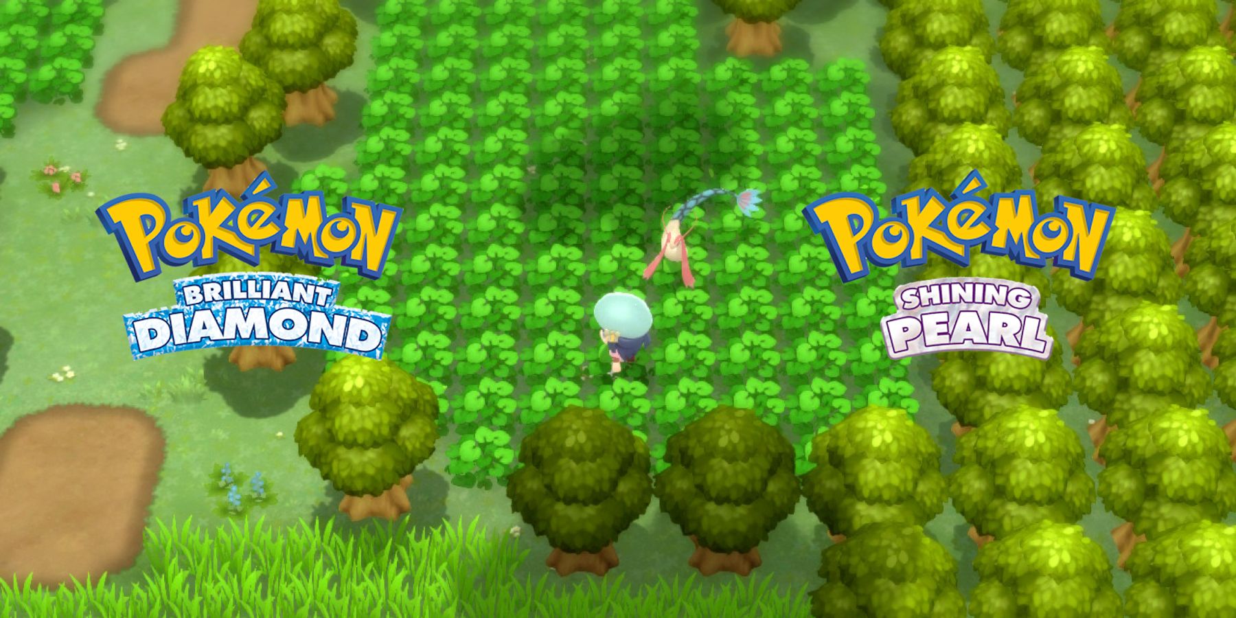 Poké Radar Exclusive Pokémon - Poké Radar - Tips & Tricks, Pokémon:  Brilliant Diamond & Shining Pearl