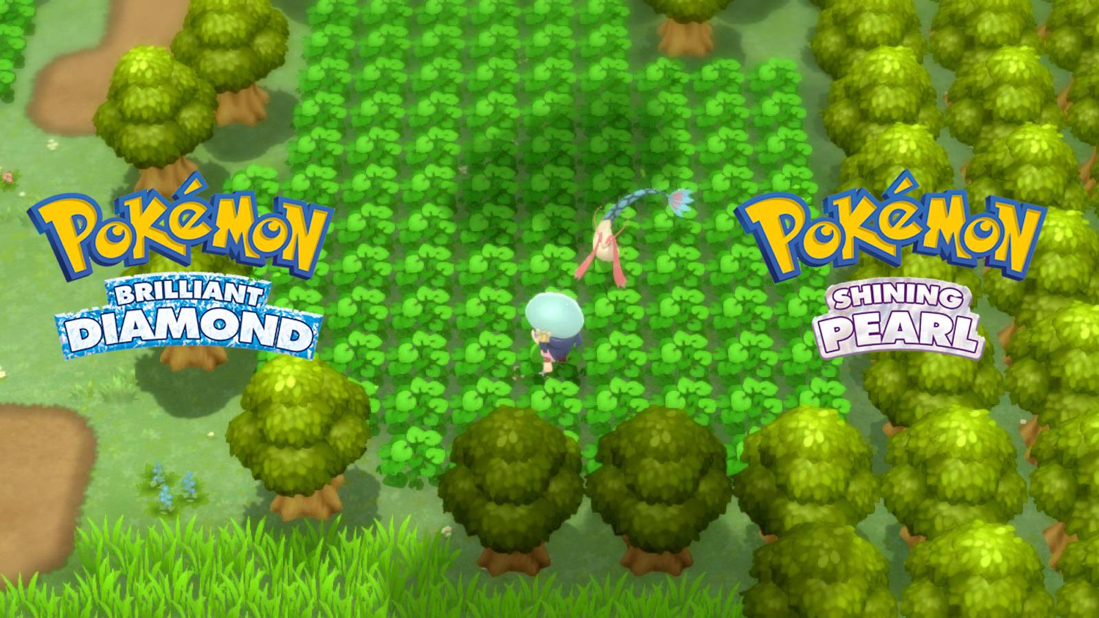 pokemon brilliant diamond shining pearl pokeradar