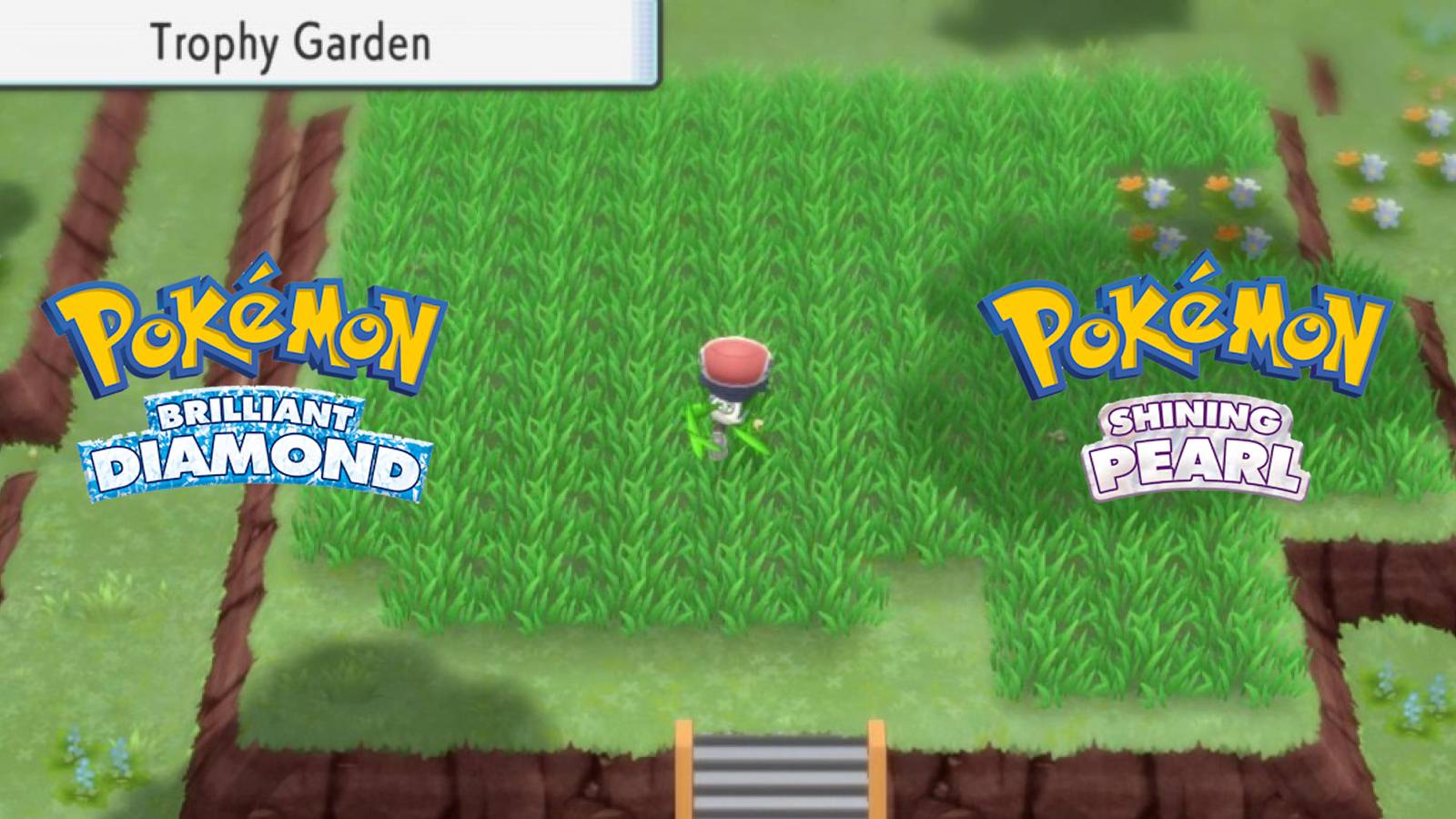 pokemon-brilliant-diamond-shining-pearl-trophy-garden