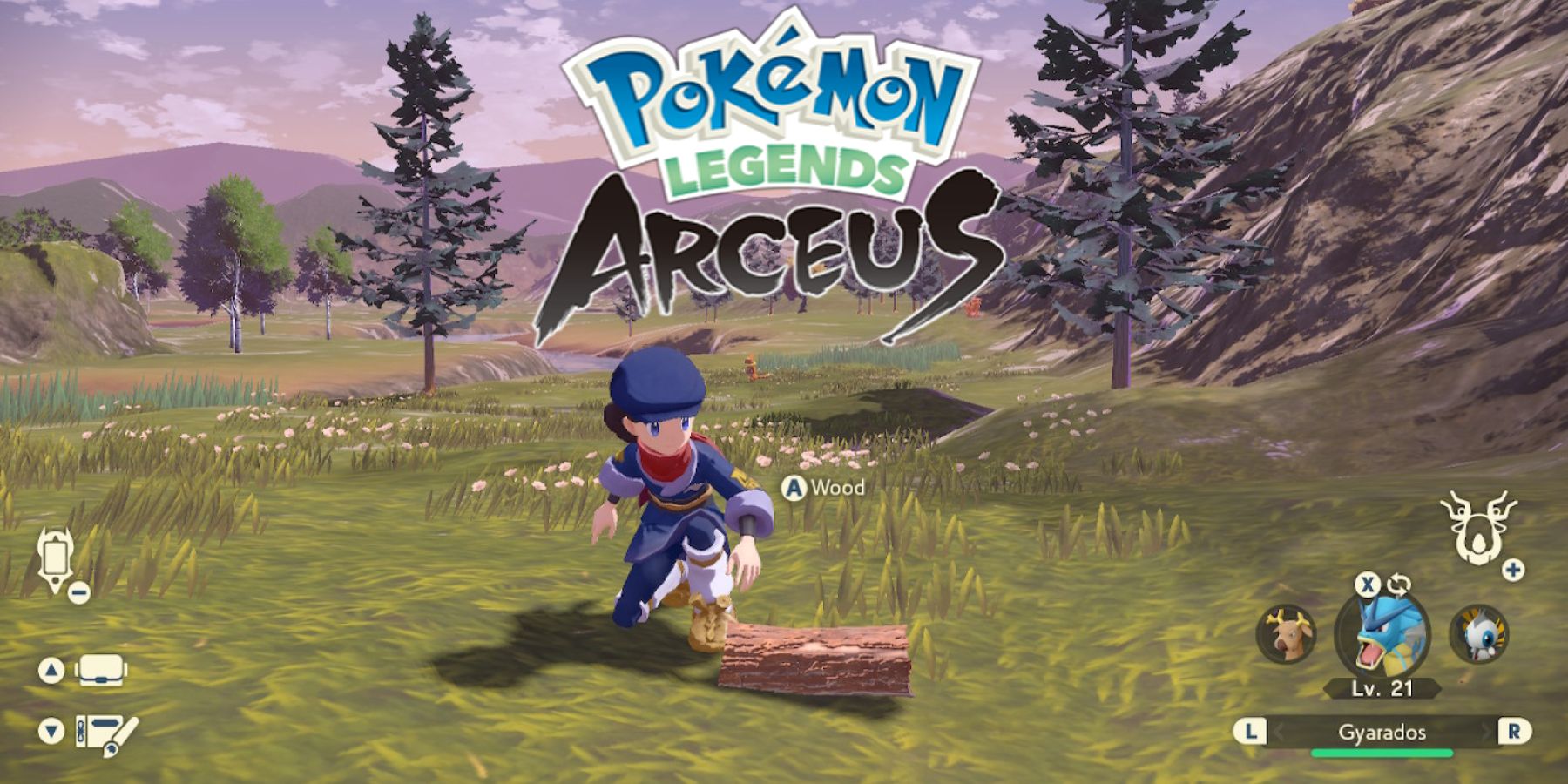 Pokémon Legends: Arceus wood guide - Polygon