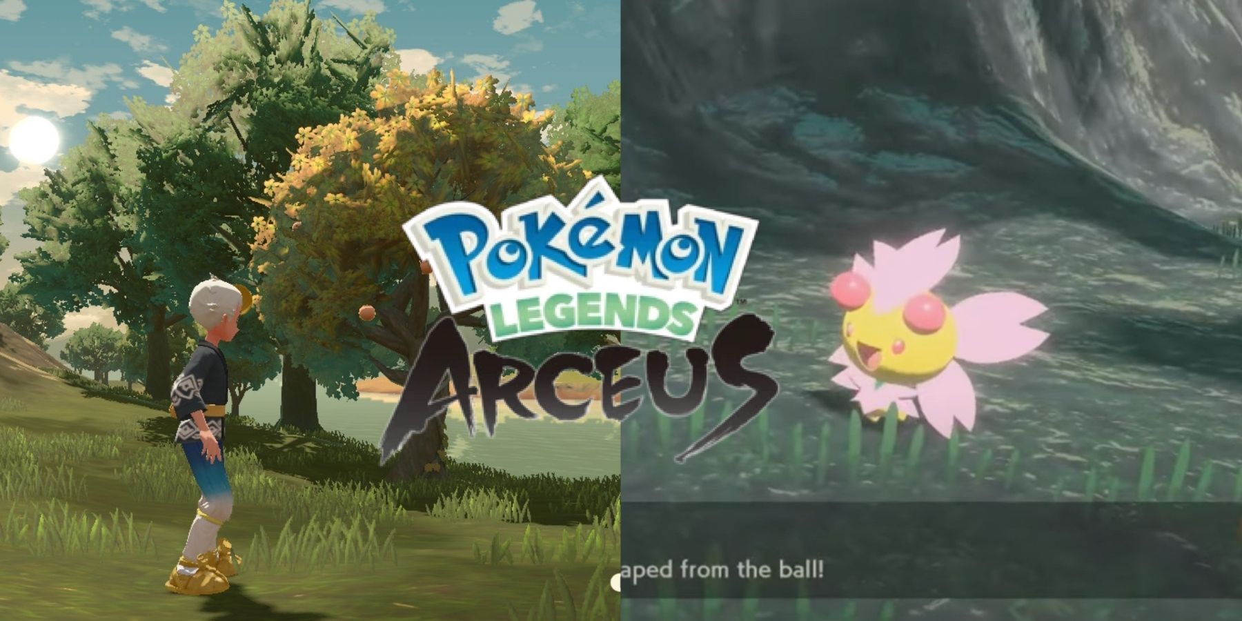 pokemon legends arceus cherrim location shaking trees
