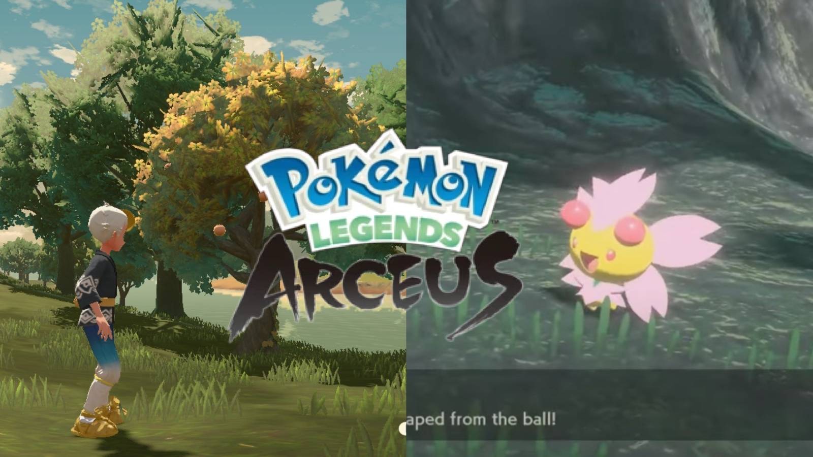 pokemon legends arceus cherrim location shaking trees