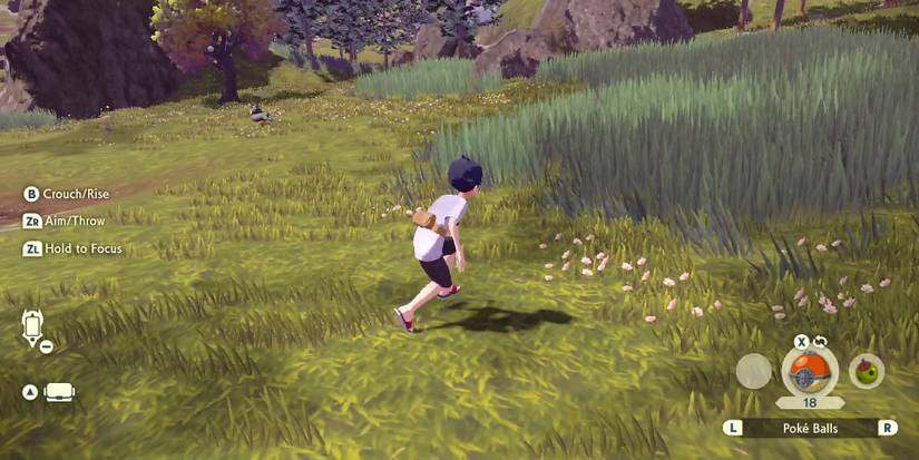 Pokemon Legends Arceus Galaxy Team Entry Trial Mission Catching Starly