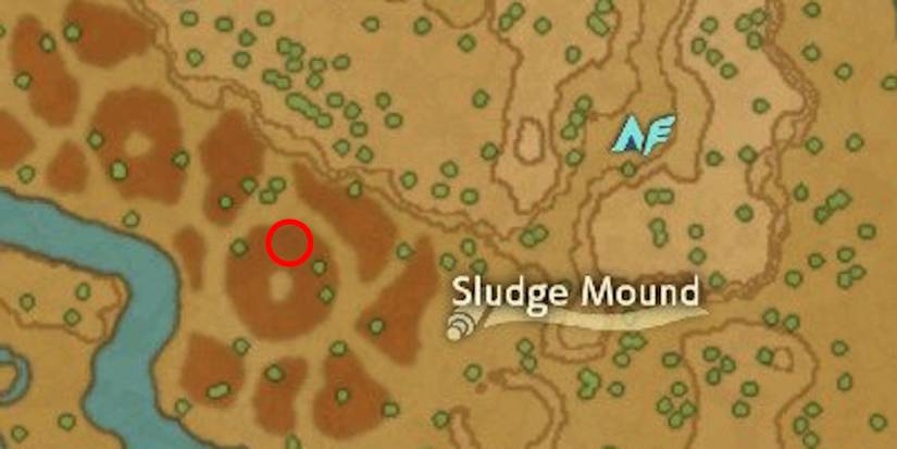 pokemon legends arceus charm lost in the swamp