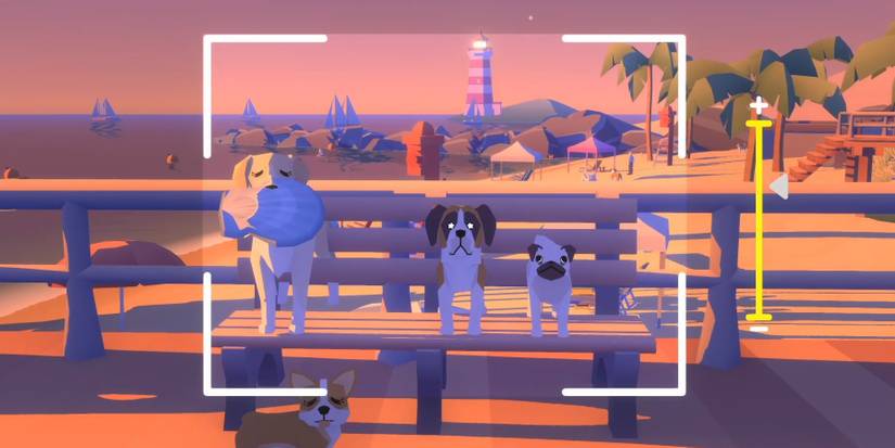 Four dogs on the boardwalk from Pupperazzi