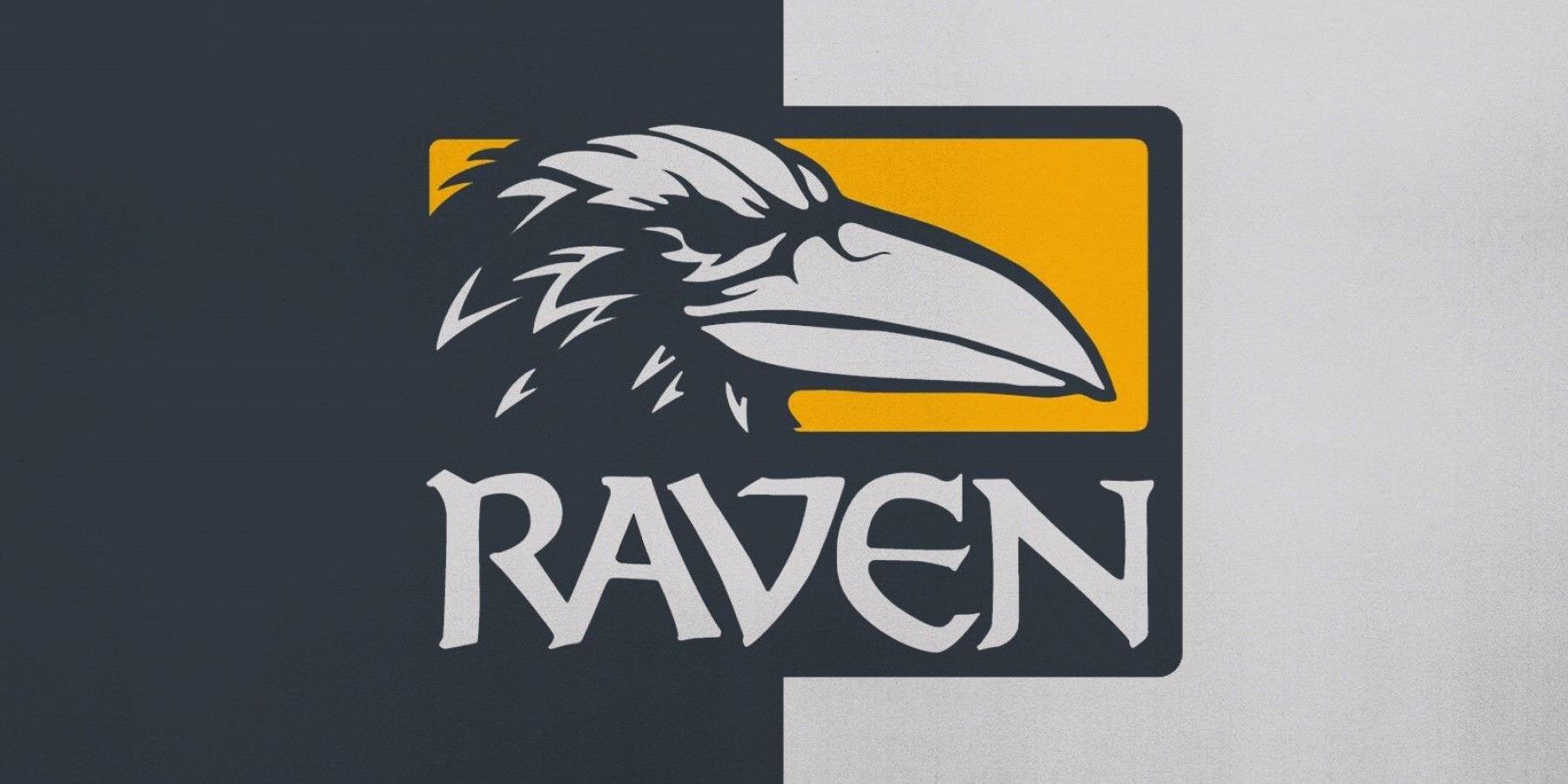raven software logo black white background