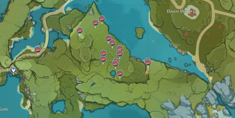 raw meat around stone gate in genshin impact