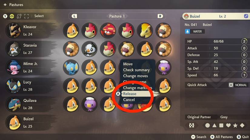 release pokemon screen pastures legends arceus