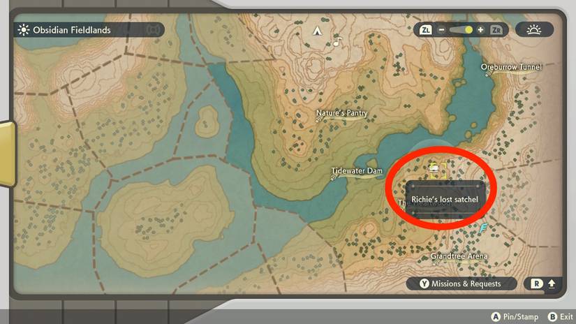 richies lost satchel pokemon legends arceus