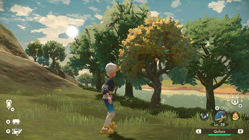 shaking berry trees pokemon legends arceus