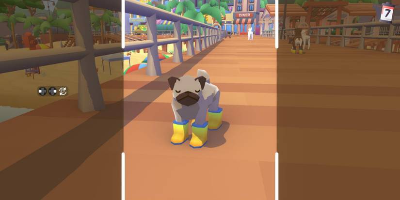 taking pic of dog blinking