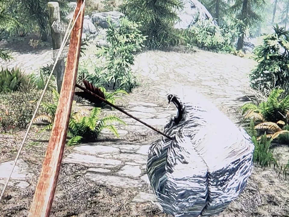 Screenshot from Skyrim showing an arrow in a beehive.