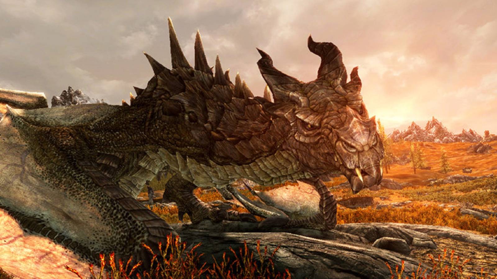 skyrim dragon face feature