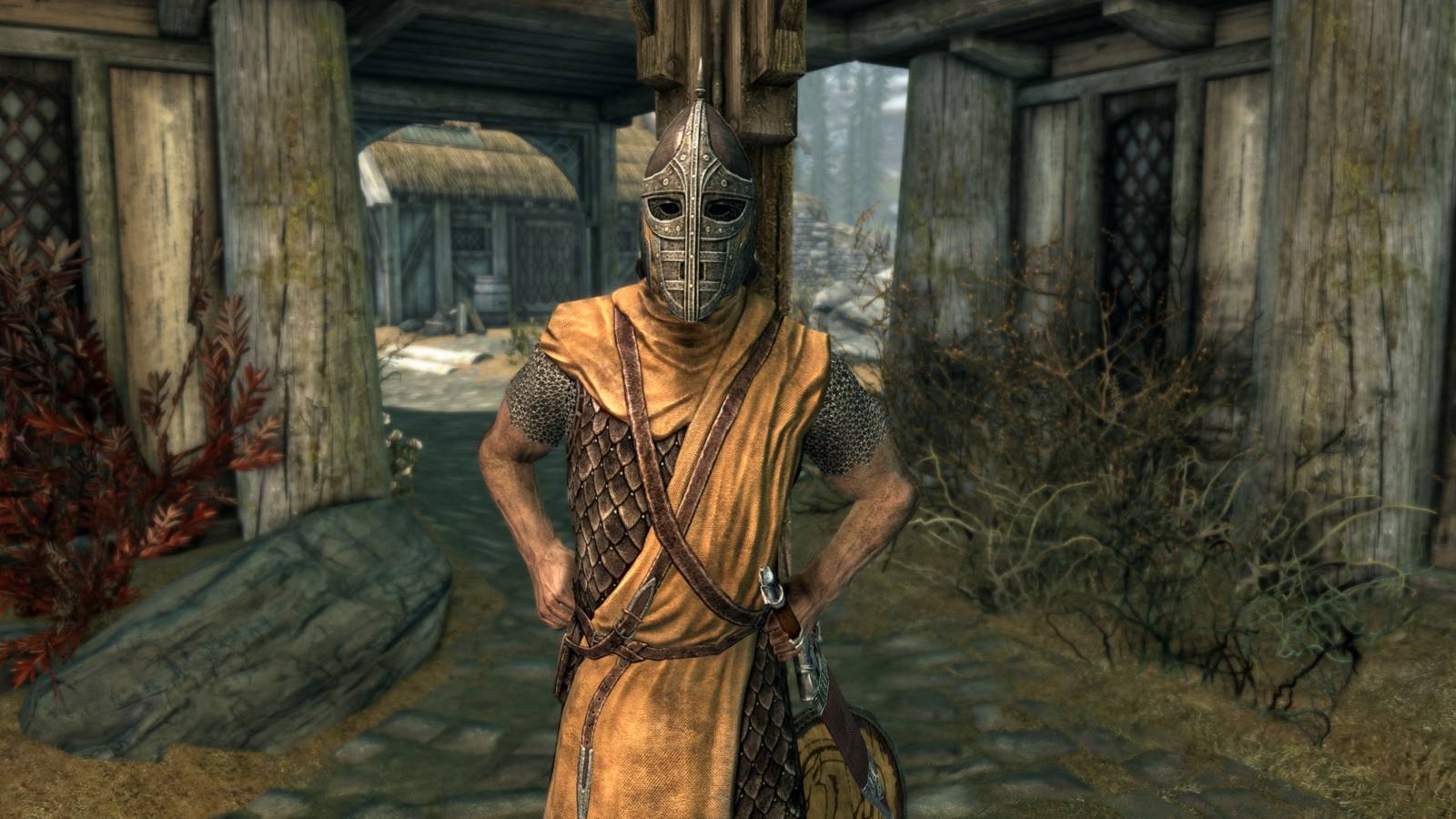 Image from The Elder Scrolls 5: skyrim showing a guard in Whiterun.