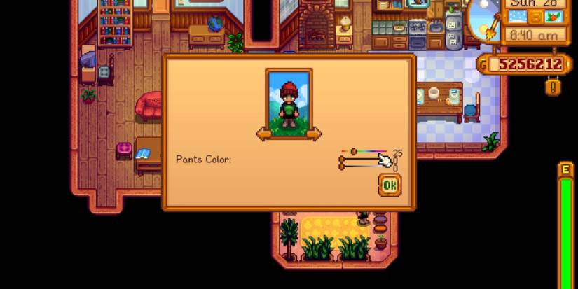 stardew valley dyeing clothes