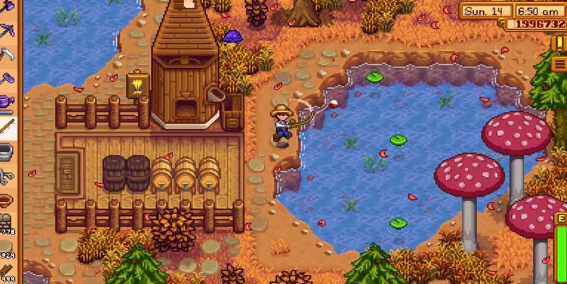 stardew valley fishing water how
