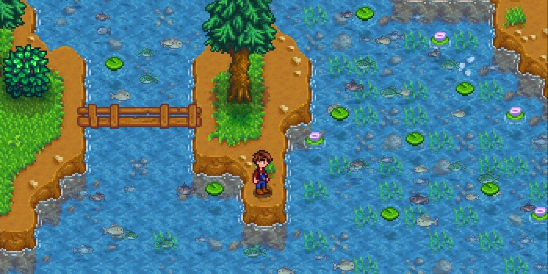 Stardew Valley: Where to Catch Catfish