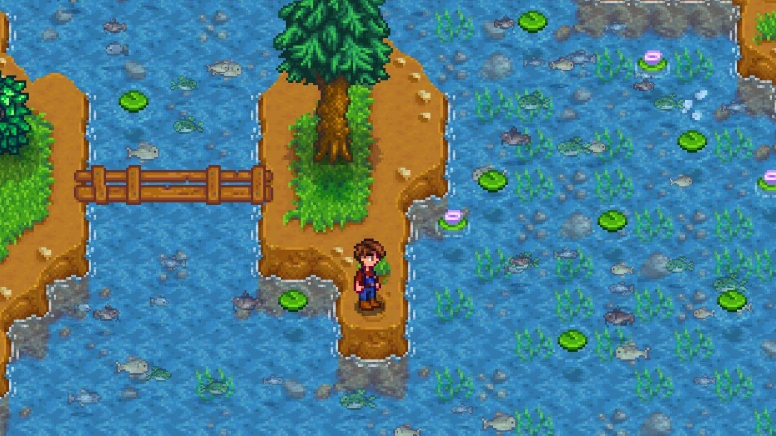 Stardew Valley River Fishing