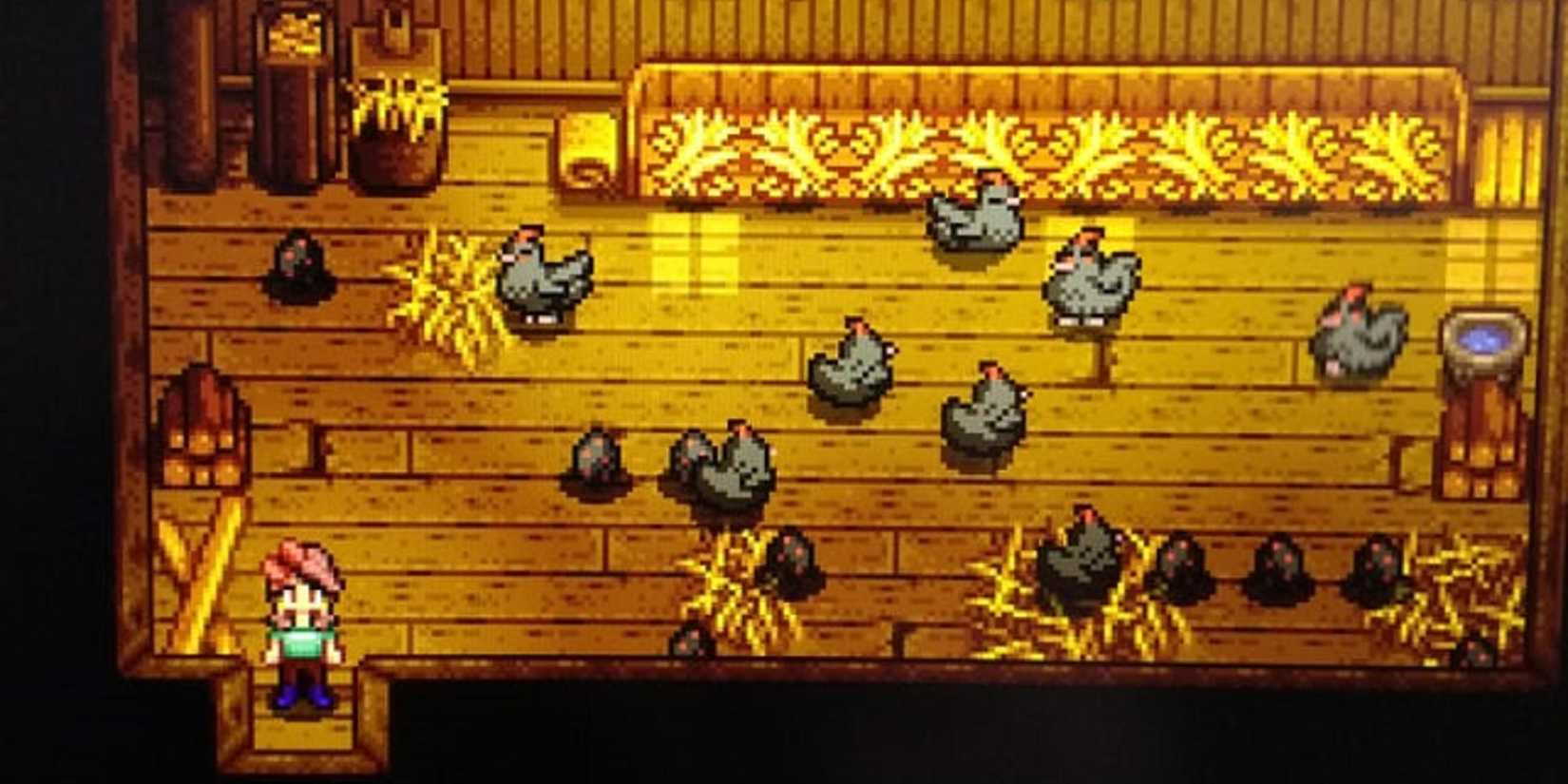 stardew valley void chicken coop feature