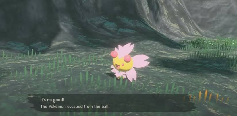 sunshine form cherrim