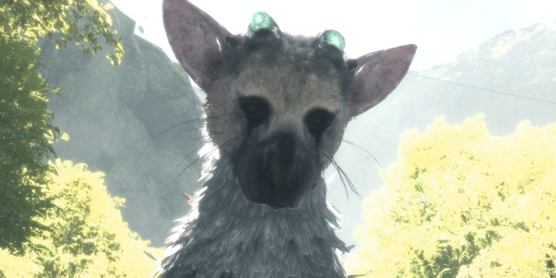 Trico The Last Guardian