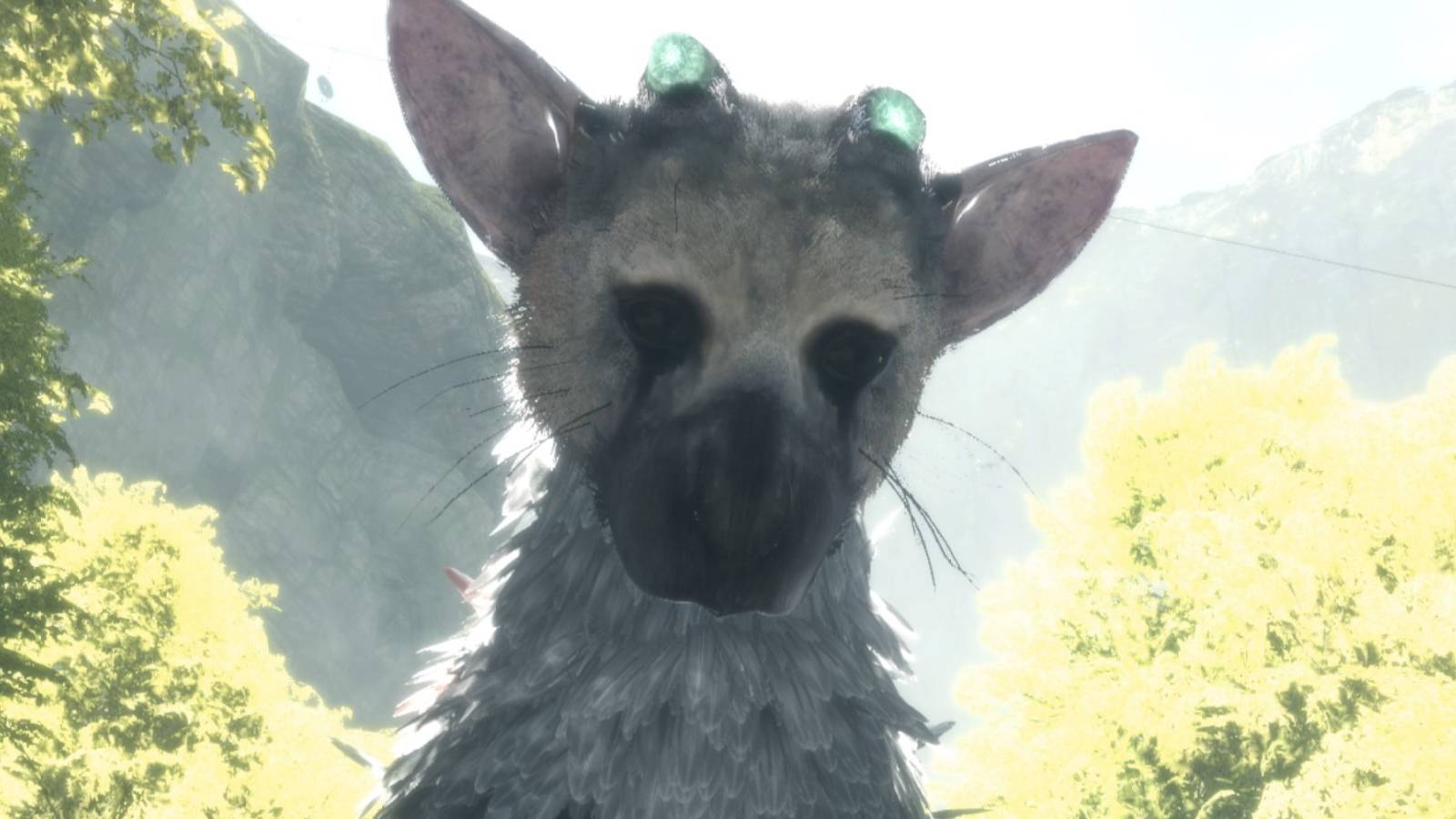 trico-the-last-guardian