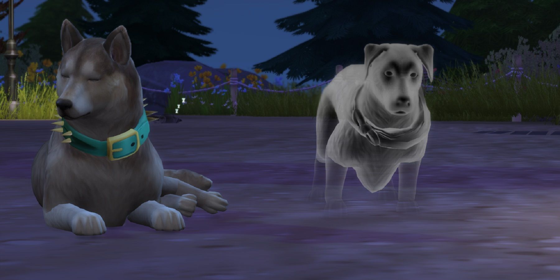the sims 4 dog meets ghost dog feature