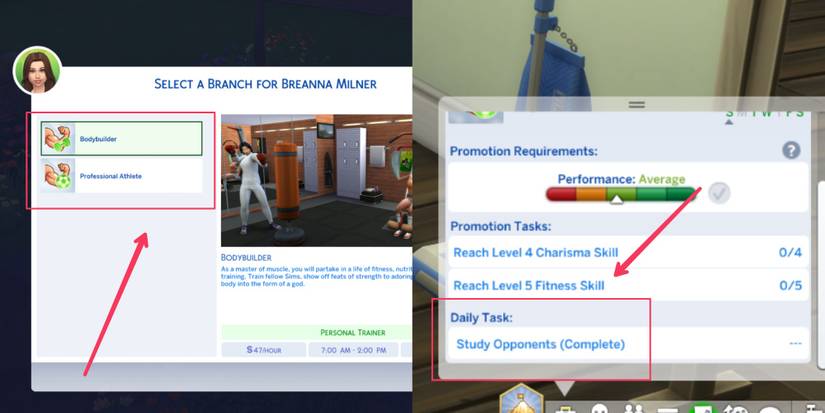 the two branches of the athlete career and the daily task of a professional athlete in the sims 4