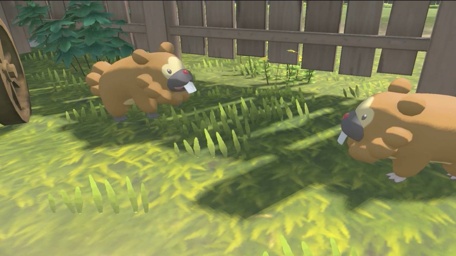 two bidoof pokemon legends arceus