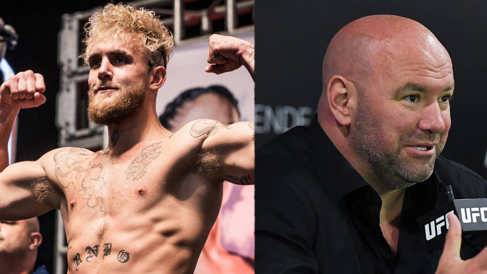 ufc-jake-paul-dana-white-feud