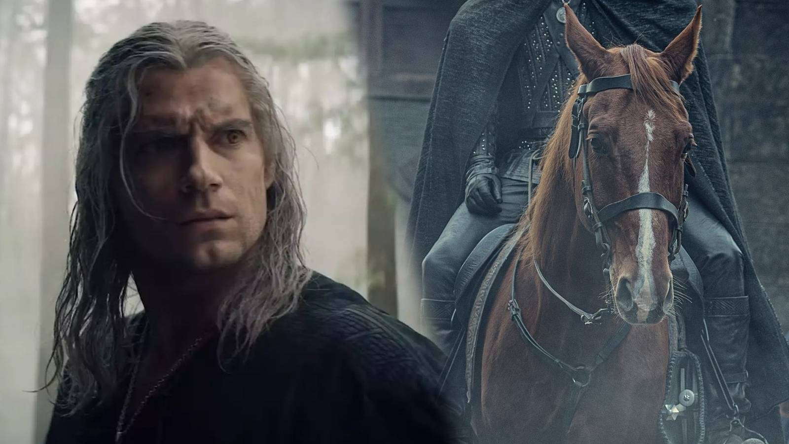 Witcher Netflix Geralt Henry Cavill Roach