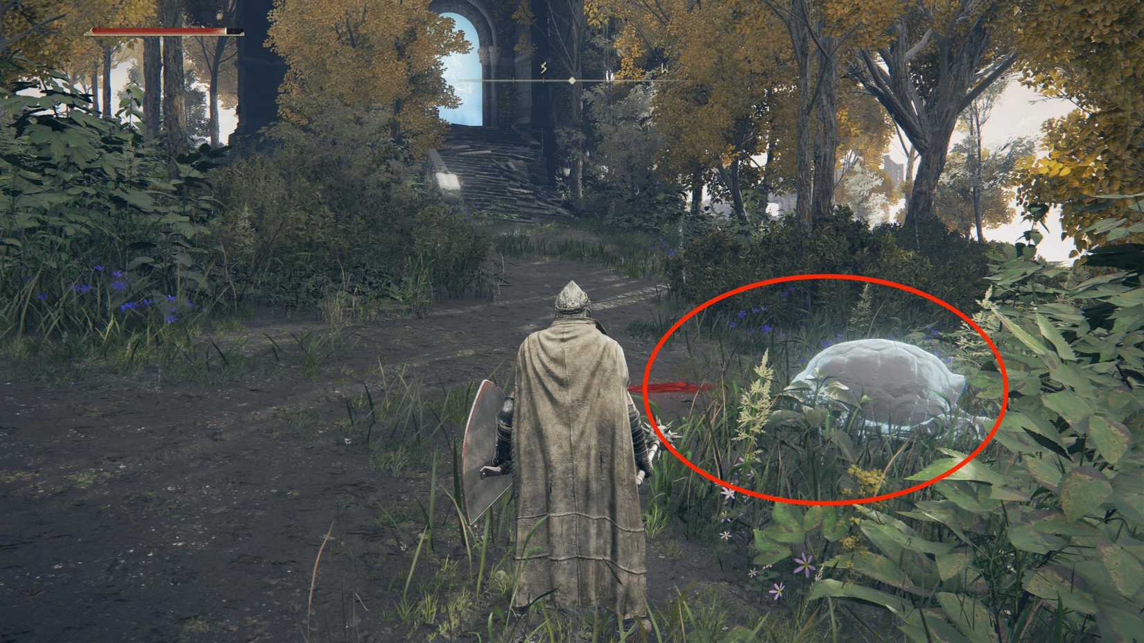  Oridys’s Rise turtle 3