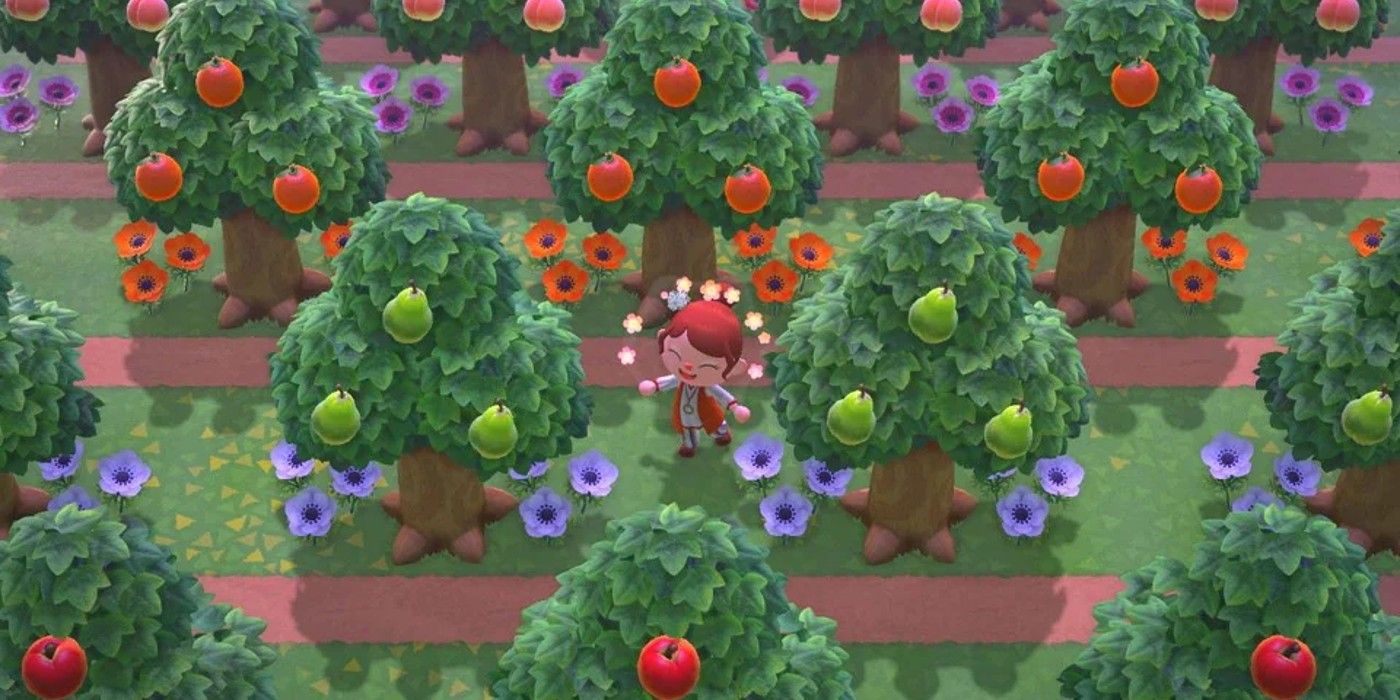 Animal Crossing Garden Orchard