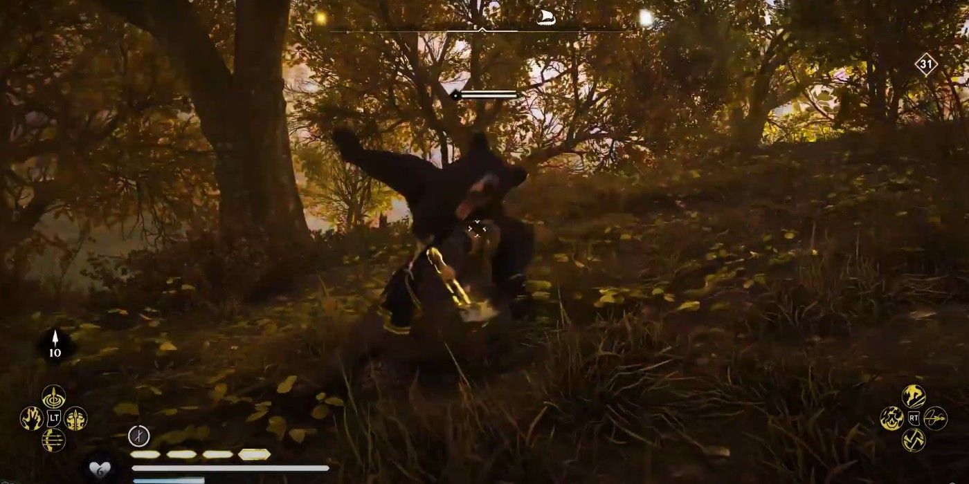 Assassin's Creed Valhalla Black Bear fight