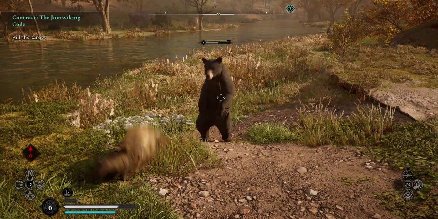 Assassin's Creed Valhalla Black Bear sighting