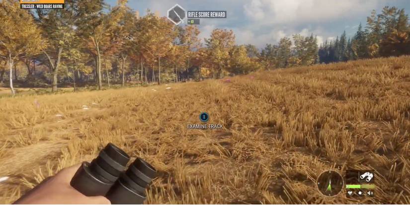 Best Reserves in TheHunter - Call of the Wild - Hirschfelden Hunting Reserve - Player strolls through the field in search for animals to kill