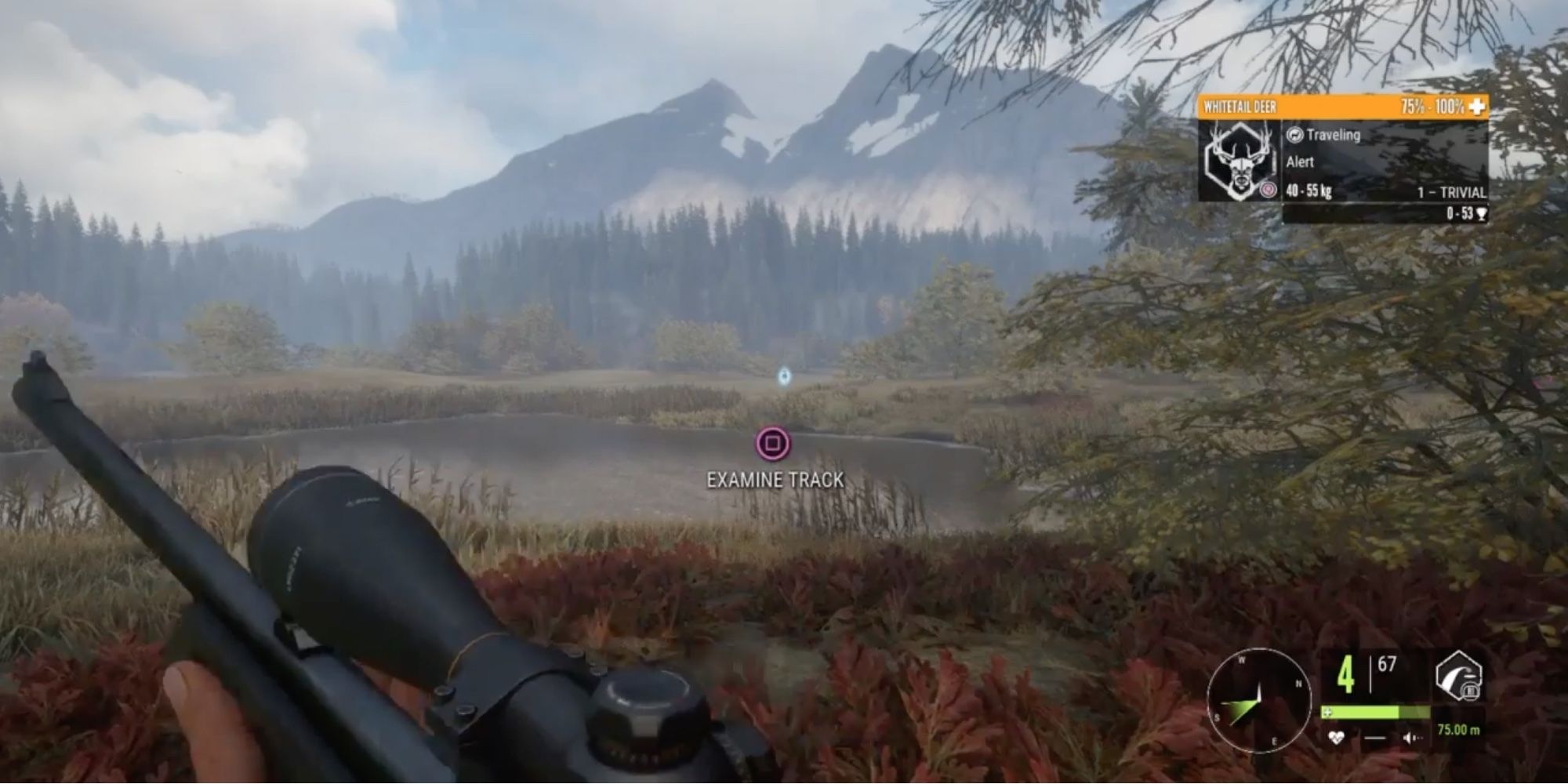 Best Rifles in TheHunter - Call of the Wild - .223 Docent - Player hunts Whitetail Deer