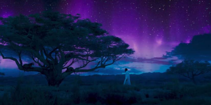 The ancestral plain in for Black Panther