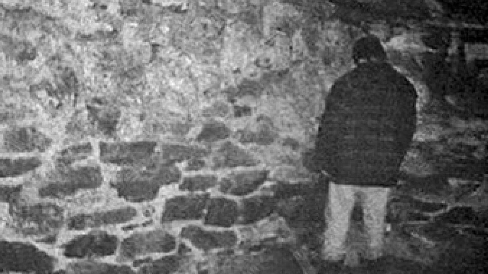 Blair Witch Project - A snapshot of a rather famous moment.