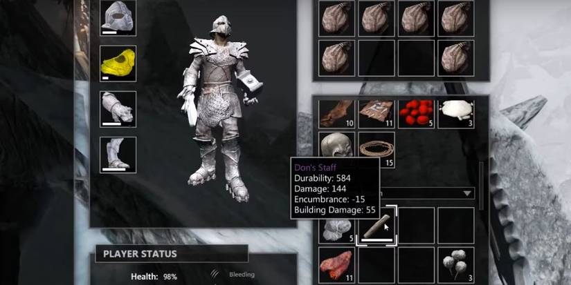 Image of the Don's Staff in the inventory from Savage Lands. 