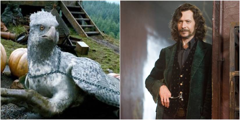 Collage Of Sirius Black and BuckBeak The Hippogriff