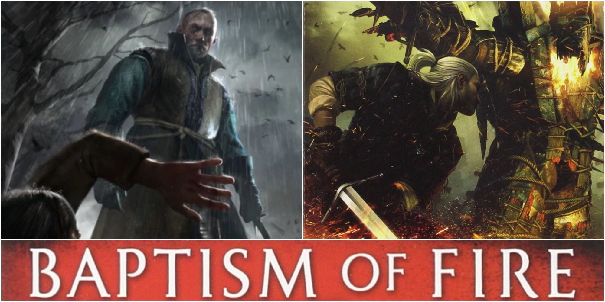 Collage Of The Witcher Novels Baptism Of Fire Geralt Leo Bonhart
