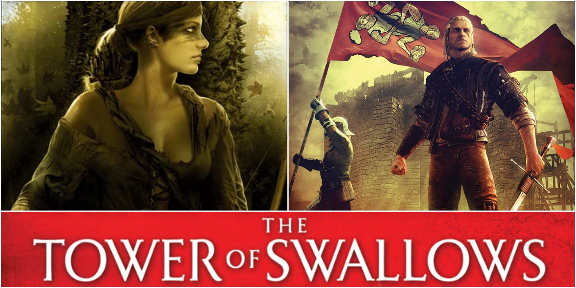 Collage Of The Witcher Novels The Tower of Swallows by Andrzej Sapkowski Maria Milva And Geralt Of Rivia