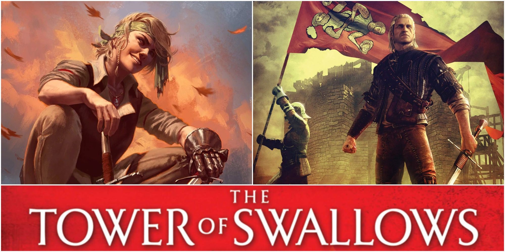 Collage Of The Witcher Novels Tower Of Swallows Angouleme