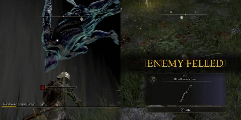 Defeating Bloodhound Knight Darriwil in Elden Ring