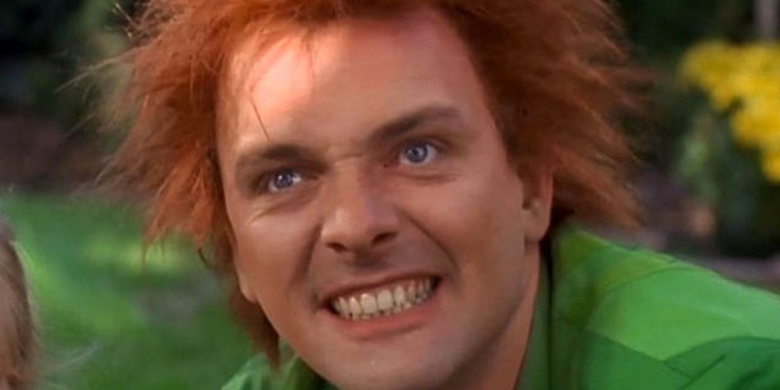 Drop Dead Fred 1991